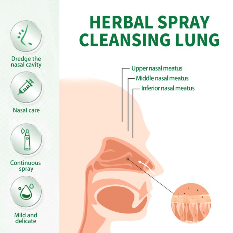 Daily Herbal Spray for Gentle Throat & Nose Care - Image 4