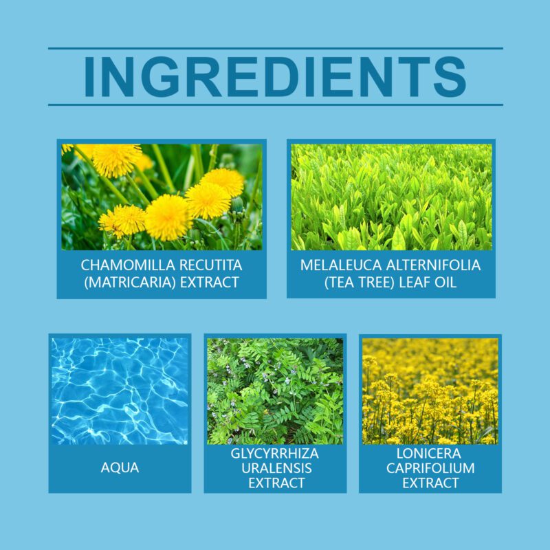 Gentle Daily Care Cream - Natural Extracts for Acne-Prone Skin, Smooth & Calm - Image 5
