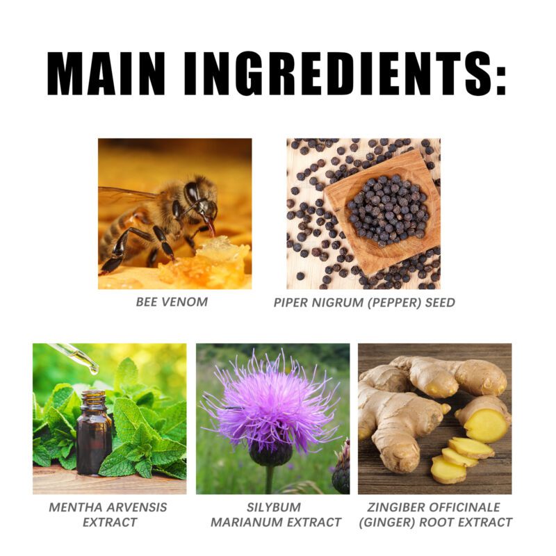 Natural Bee Venom Body Care Patch - Gentle Daily Support for Body Wellness - Image 5