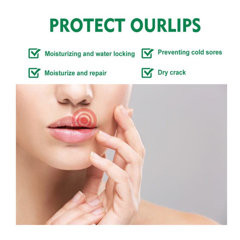 Natural Herbal Lip Balm for Daily Nourishment & Moisturizing - Image 3
