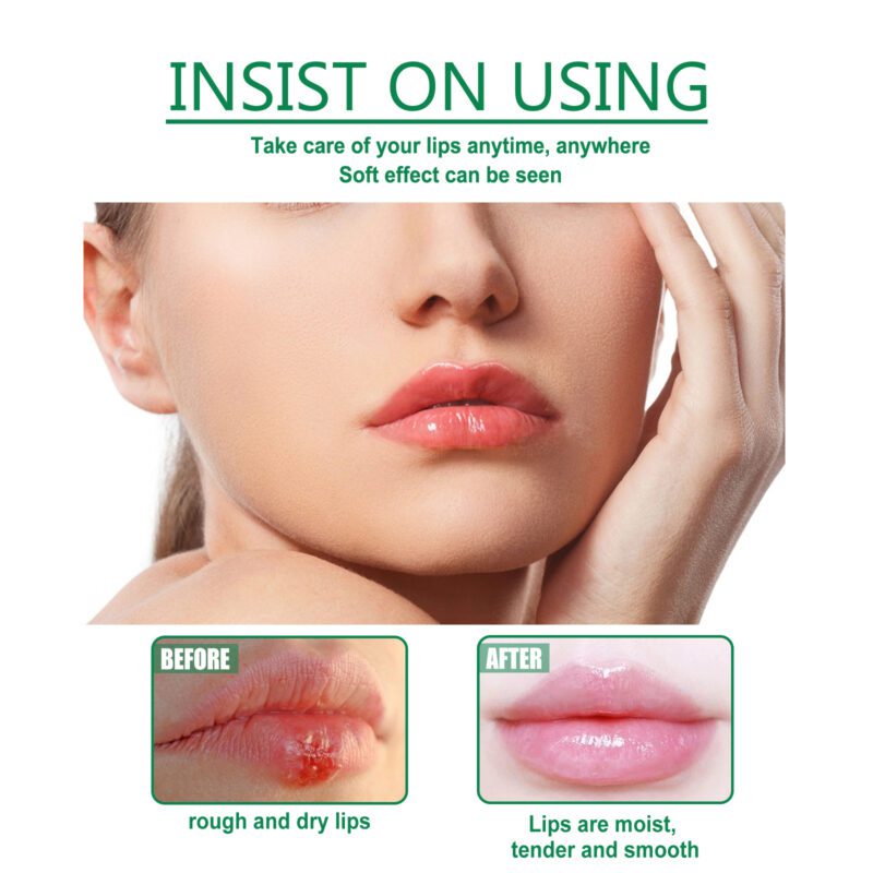 Natural Herbal Lip Balm for Daily Nourishment & Moisturizing - Image 4