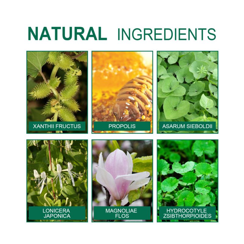 Organic Herbal Nasal Care Patch - Gentle Daily Soothing Support - Image 5