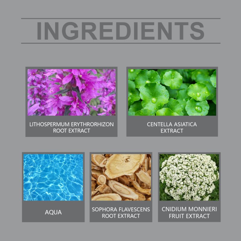 Herbal Skin Cream - Gentle Daily Moisturizer for Soft, Soothed Skin - Image 5