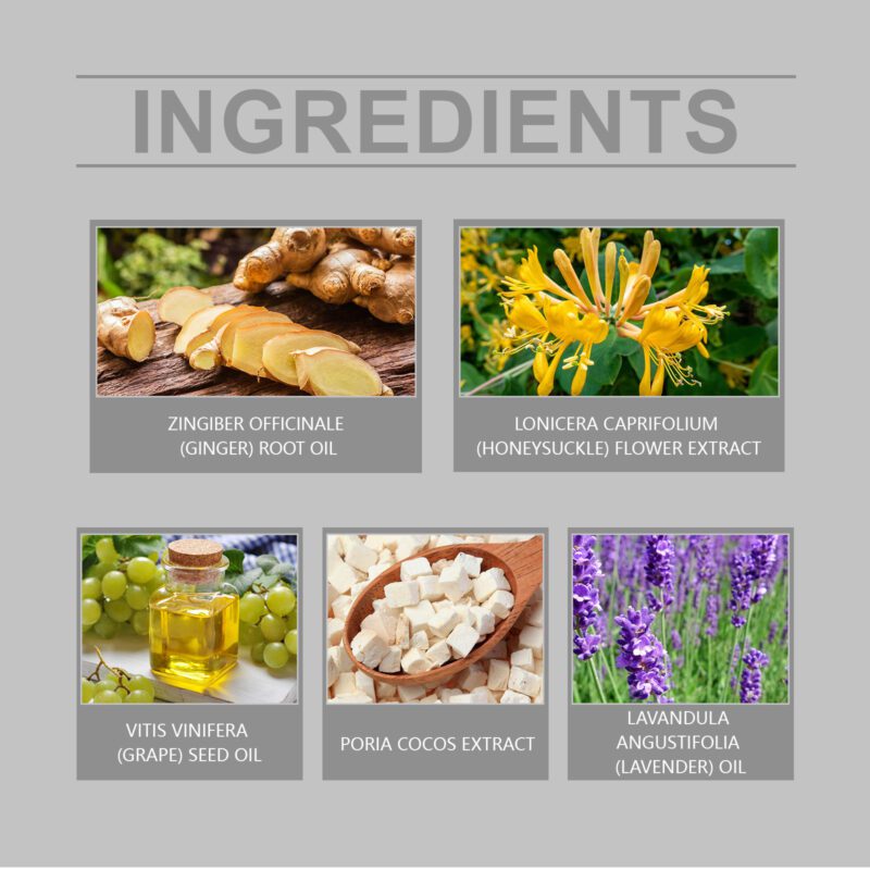South Moon Herbal Massage Oil with Natural Ingredients - Daily Nourishment & Soothing - Image 5