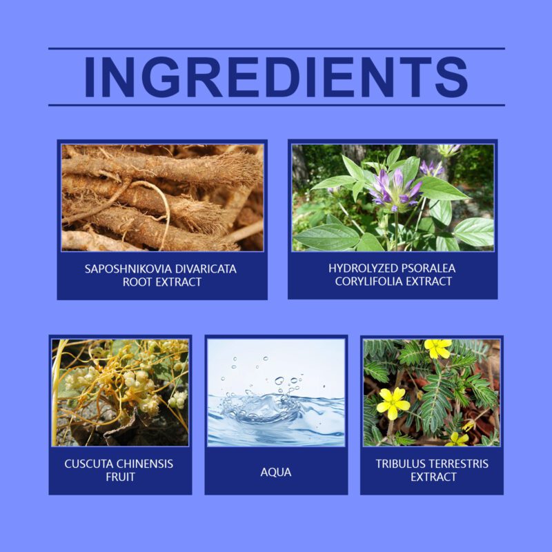 Natural Cream | Gentle Daily Moisturizer for Even Tone & Hydration - Image 5