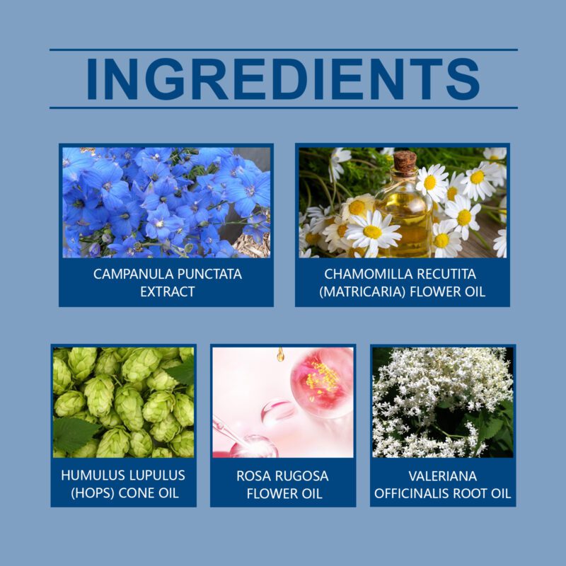 Calming Sleep Patch with Natural Bluebell & Essential Oils - Image 5