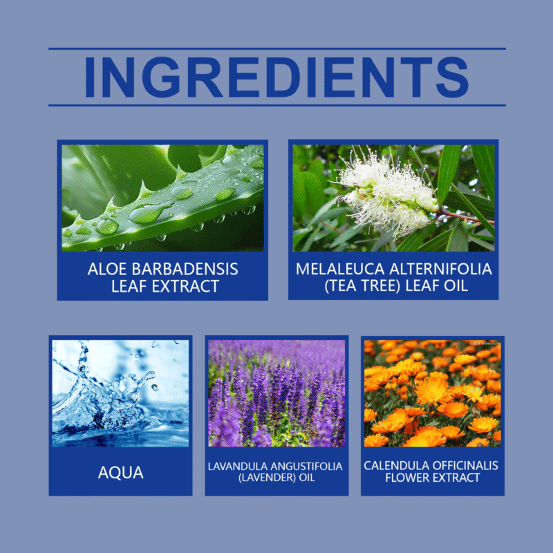 Gentle Daily Nourishing Cream with Aloe & Lavender for Moisturizing - Image 5