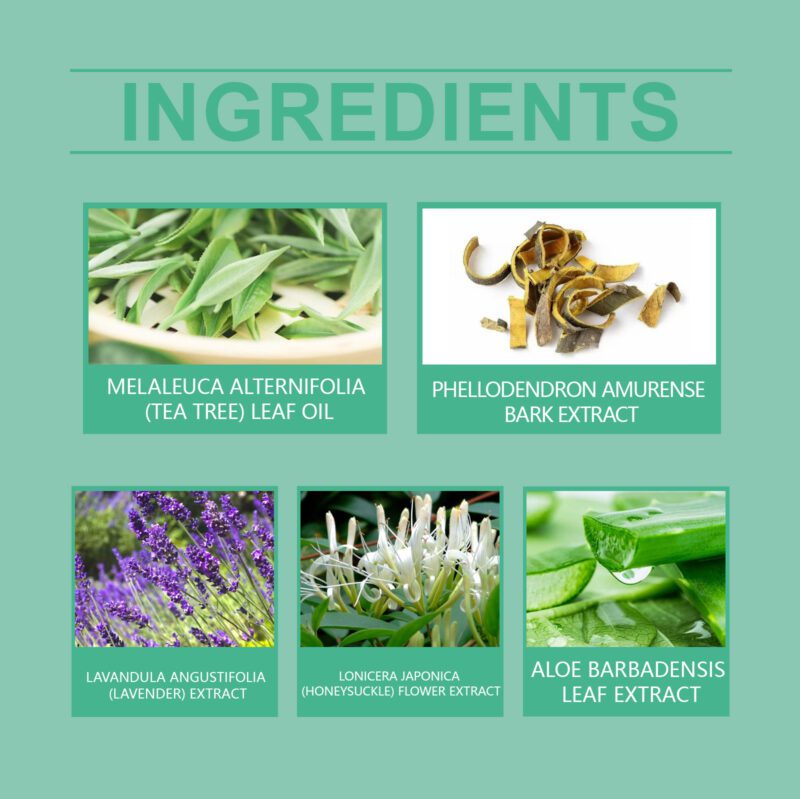 Natural Nail Care Pen with Honeysuckle & Lavender for Healthy Nails - Image 5