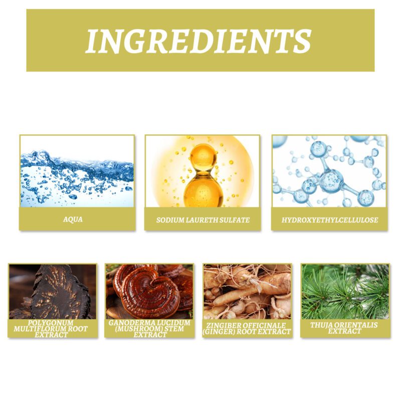 Natural Hair Shampoo - Gentle Daily Care for Soft, Moisturized Hair - Image 5