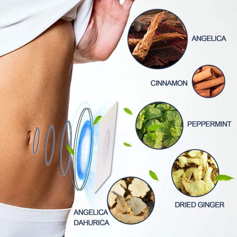 Gentle Daily Belly Care Patch - Natural Angelica Mint Cinnamon - Image 5