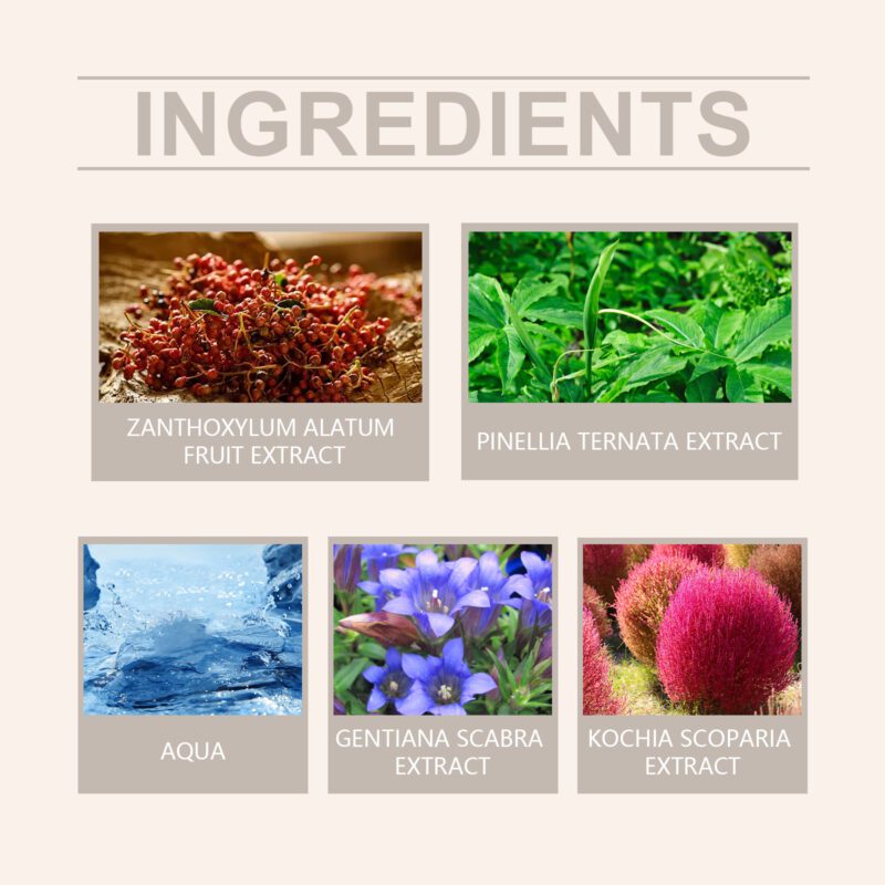 Daily Care Body Cream - Natural Botanical Blend for Soft, Soothed Skin - Image 5