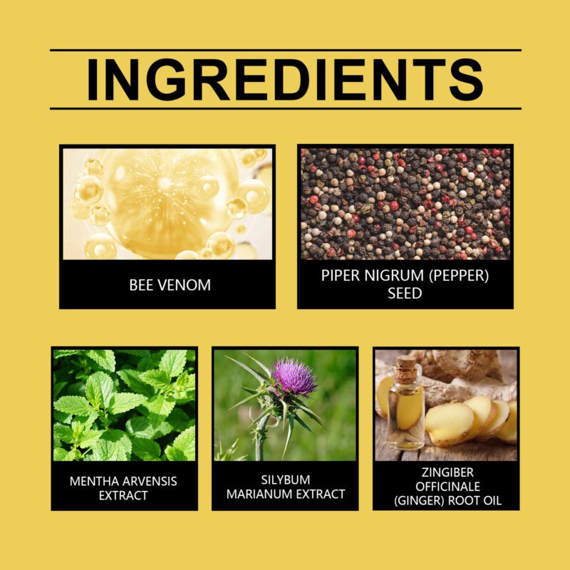 Natural Bee Venom Body Care Patch: Herbal Wellness for Daily Vitality - Image 5