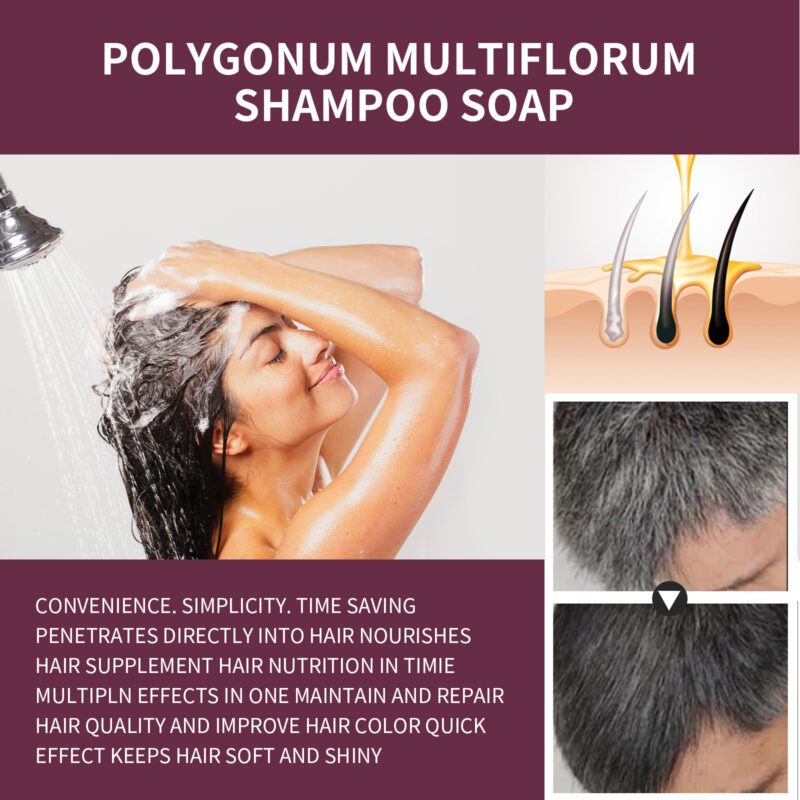 Korea Polygonum Natural Shampoo - Gentle Daily Care for Soft, Shiny Hair - Image 3