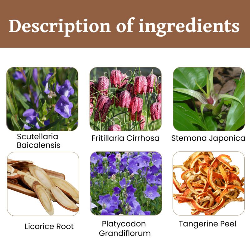 Soothing Body Care Cream - Natural Ingredients for Daily Throat Comfort & Gentle Relief - Image 5