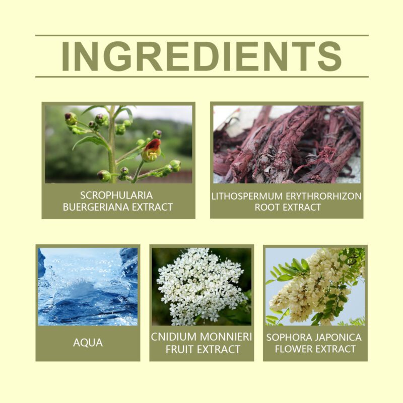 Daily Care Ointment - Gently Soothe & Moisturize Skin with Natural Herbal Ingredients - Image 5