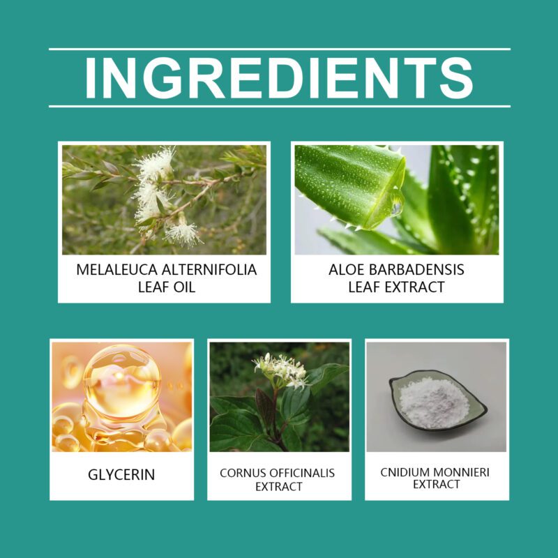 Herbal Daily Nourish Cream - Gentle Soothing Moisturizer with Natural Ingredients - Image 5